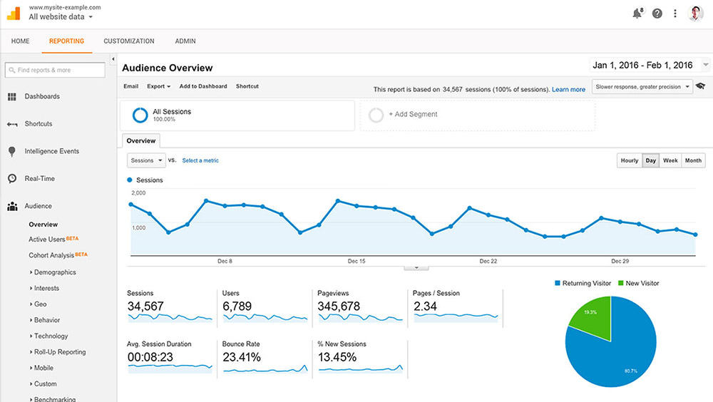 Google Analytics audience overview